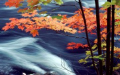Desktop wallpaper. Nature. ID:28745