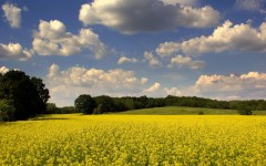 Desktop wallpaper. Nature. ID:28749