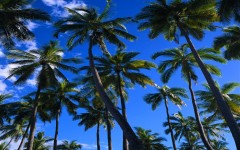 Desktop wallpaper. Nature. ID:28753