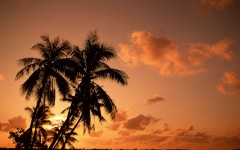 Desktop wallpaper. Nature. ID:28756