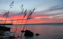 Desktop wallpaper. Nature. ID:28760