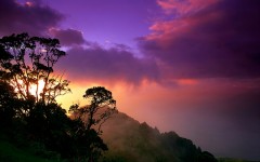 Desktop wallpaper. Nature. ID:28766