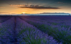 Desktop image. Nature. ID:50354