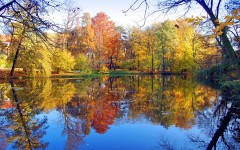Desktop wallpaper. Nature. ID:28773
