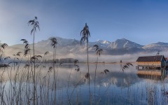 Desktop image. Nature. ID:52016