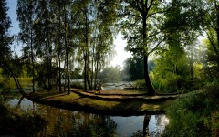Desktop image. Nature. ID:28776