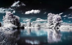 Desktop image. Nature. ID:28777