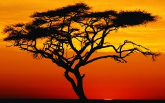 Desktop wallpaper. Nature. ID:28778