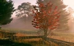 Desktop wallpaper. Nature. ID:28781