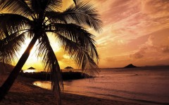 Desktop wallpaper. Nature. ID:28784