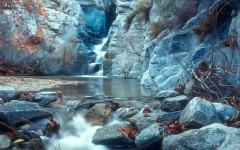 Desktop image. Nature. ID:28789