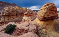 Desktop image. Nature. ID:28790