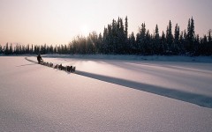 Desktop wallpaper. Nature. ID:28793