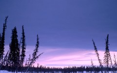 Desktop wallpaper. Nature. ID:28796