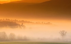 Desktop wallpaper. Nature. ID:28802