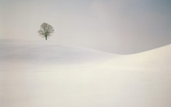 Desktop wallpaper. Nature. ID:28804