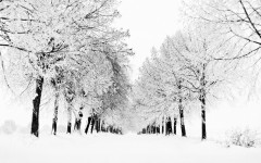 Desktop wallpaper. Nature. ID:28807