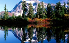 Desktop wallpaper. Nature. ID:28813