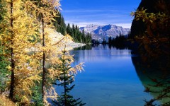 Desktop wallpaper. Nature. ID:28818