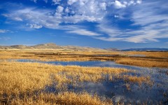 Desktop wallpaper. Nature. ID:28820