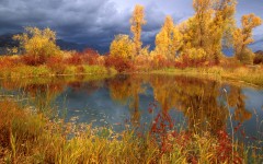 Desktop wallpaper. Nature. ID:28832