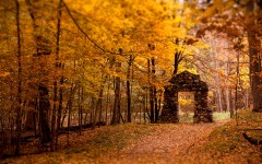 Desktop wallpaper. Nature. ID:28834