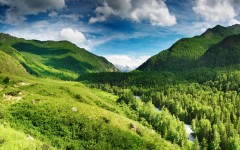 Desktop wallpaper. Nature. ID:28844