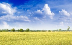 Desktop wallpaper. Nature. ID:28847