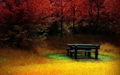 Desktop wallpaper. Nature. ID:28848