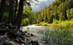 Desktop wallpaper. Nature. ID:28849