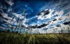 Desktop wallpaper. Nature. ID:28853