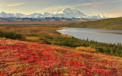 Desktop wallpaper. Nature. ID:28859