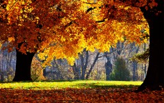 Desktop wallpaper. Nature. ID:28863