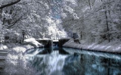 Desktop wallpaper. Nature. ID:28867
