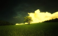 Desktop wallpaper. Nature. ID:28872