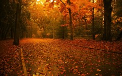 Desktop wallpaper. Nature. ID:28877