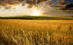 Desktop wallpaper. Nature. ID:28880