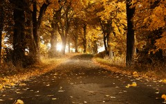 Desktop wallpaper. Nature. ID:28886