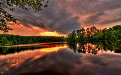 Desktop wallpaper. Nature. ID:28889