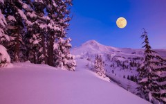 Desktop wallpaper. Nature. ID:28890