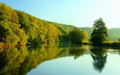 Desktop wallpaper. Nature. ID:28897