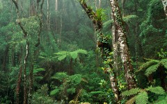 Desktop wallpaper. Nature. ID:28898