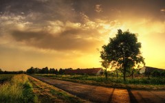 Desktop wallpaper. Nature. ID:28901