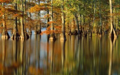 Desktop wallpaper. Nature. ID:28902