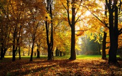 Desktop wallpaper. Nature. ID:28903