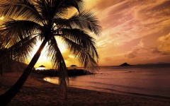 Desktop wallpaper. Nature. ID:28904
