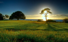Desktop wallpaper. Nature. ID:28906