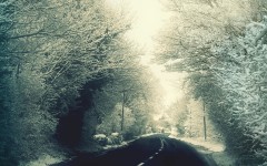 Desktop wallpaper. Nature. ID:28912