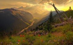 Desktop wallpaper. Nature. ID:28913
