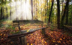 Desktop wallpaper. Nature. ID:28914